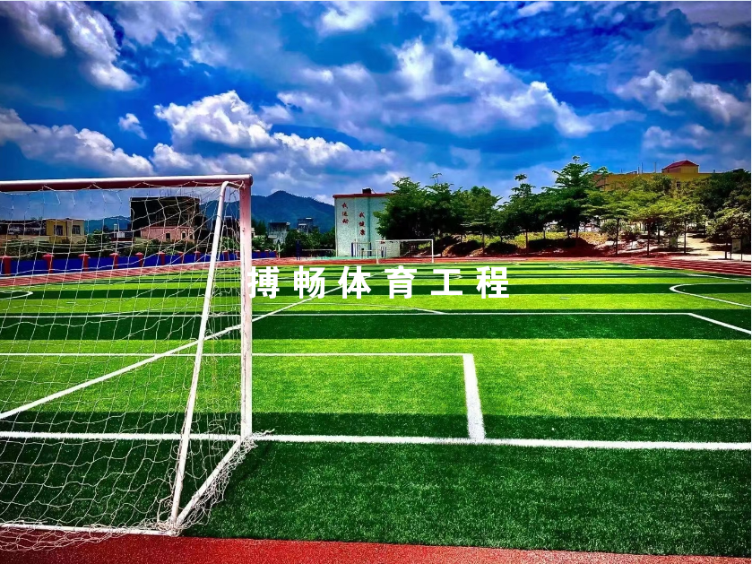 足球场草坪