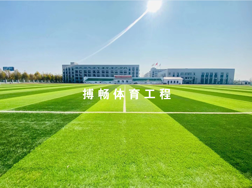 足球场草坪