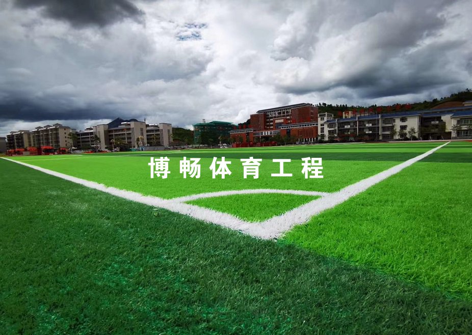 完全小学